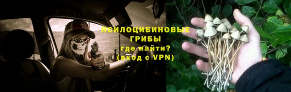 Альфа ПВП Алексин